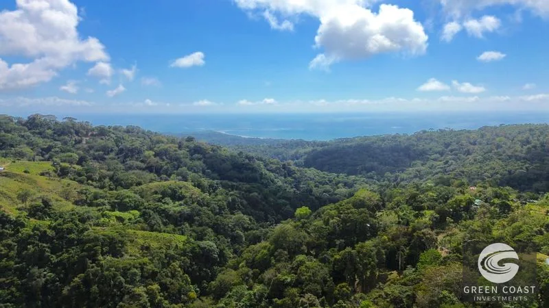 Uvita Ocean View Lot: Whale's Tail Vista & Development Ready (8681m²) — view 1, Uvita, Osa, Costa Rica