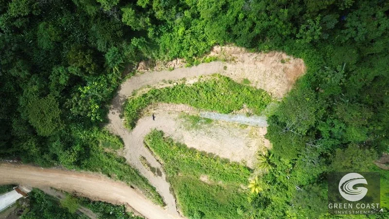 Uvita Ocean View Lot: Whale's Tail Vista & Development Ready (8681m²) — view 2, Uvita, Osa, Costa Rica