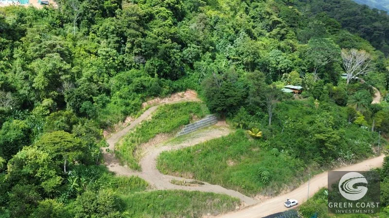 Uvita Ocean View Lot: Whale's Tail Vista & Development Ready (8681m²) — view 5, Uvita, Osa, Costa Rica