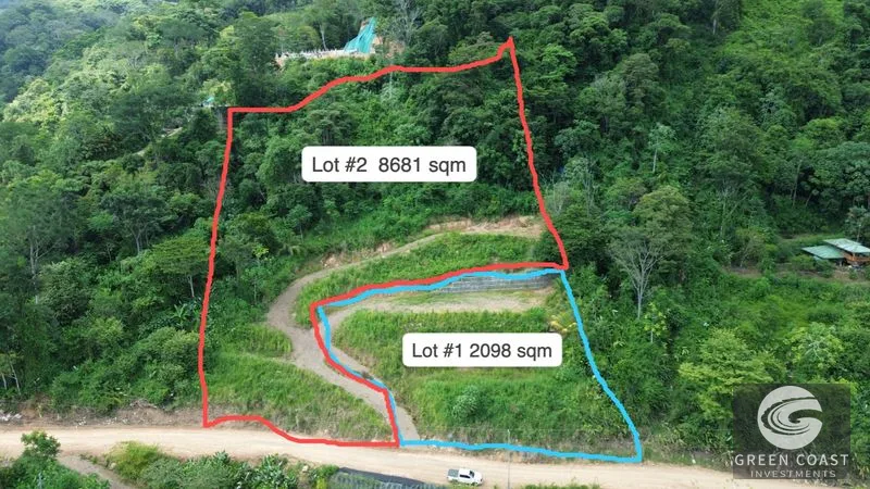 Uvita Ocean View Lot: Whale's Tail Vista & Development Ready (8681m²) — view 9, Uvita, Osa, Costa Rica