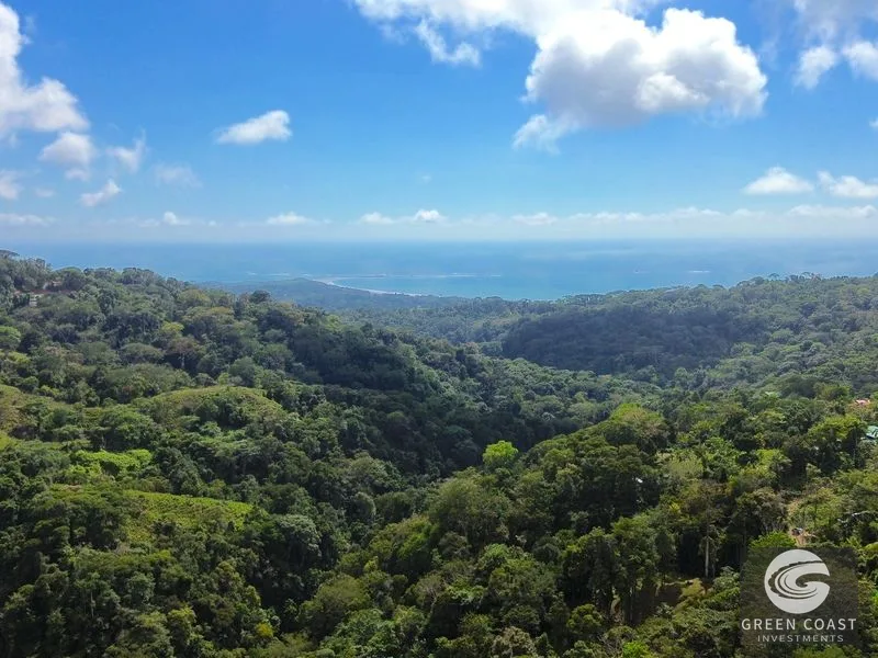 Uvita Ocean View Lot: Whale's Tail Vista & Development Ready (8681m²) — view 12, Uvita, Osa, Costa Rica