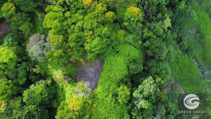 Uvita Mountain Estates: Ocean View Lots with Private Waterfall Access — view 10, Uvita, Costa Rica