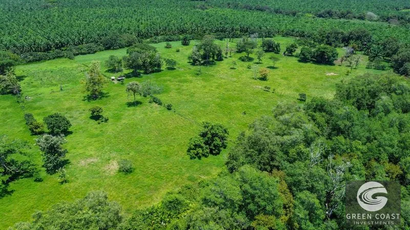 Manuel Antonio Oceanfront Estate: Luxury Hotel Development Opportunity Near Marina & National Park — view 10, Quepos, Costa Rica