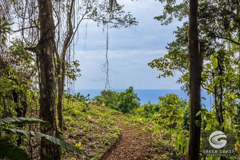 Visionary Ocean View Estate: 44 Acres with Panoramic Sunsets Near Dominical — view 4, Costa Rica, Costa Rica