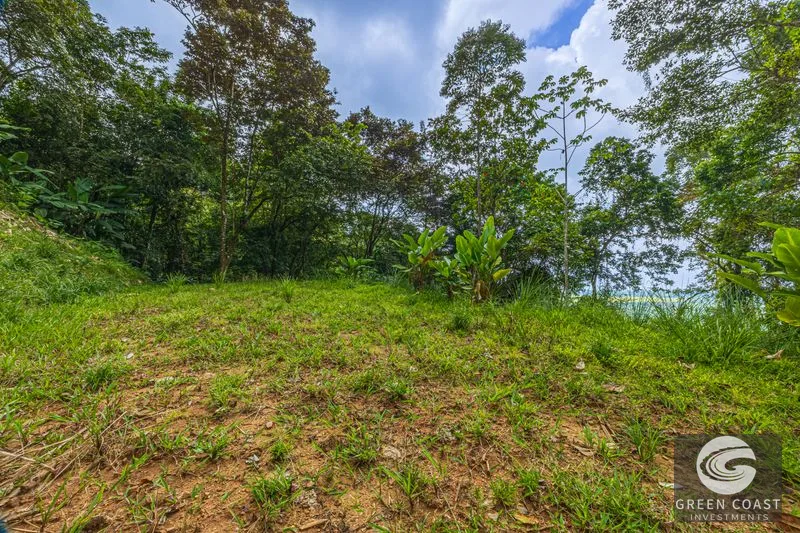 Visionary Ocean View Estate: 44 Acres with Panoramic Sunsets Near Dominical — view 6, Costa Rica, Costa Rica