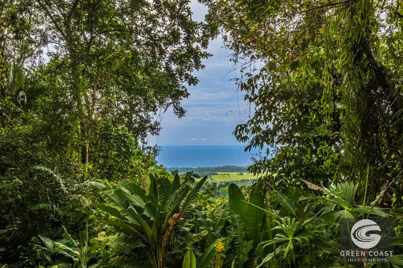 Visionary Ocean View Estate: 44 Acres with Panoramic Sunsets Near Dominical — view 8, Costa Rica, Costa Rica