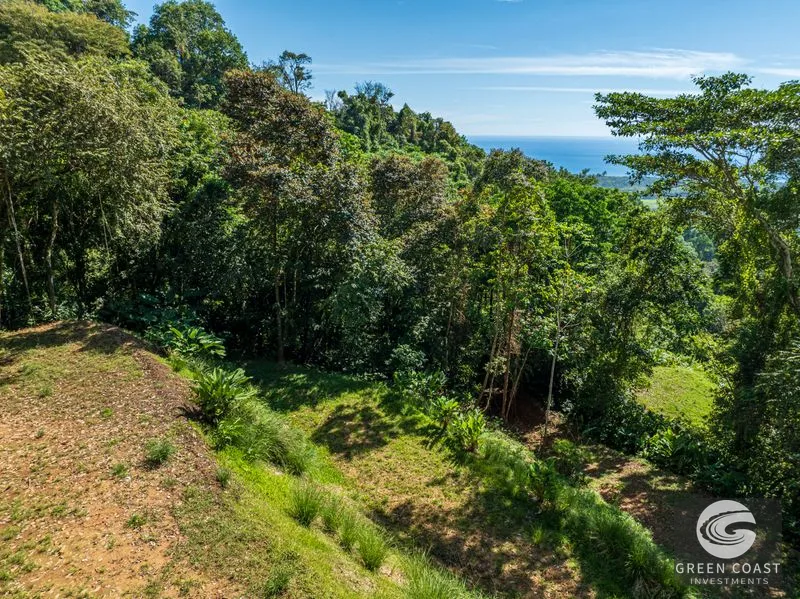 Visionary Ocean View Estate: 44 Acres with Panoramic Sunsets Near Dominical — view 11, Costa Rica, Costa Rica