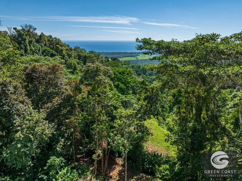 Visionary Ocean View Estate: 44 Acres with Panoramic Sunsets Near Dominical — view 12, Costa Rica, Costa Rica