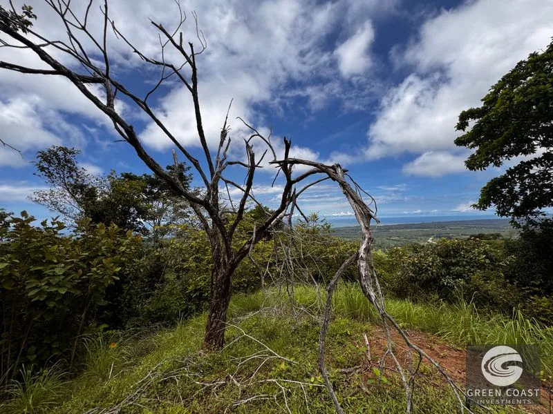 Breathtaking Ocean View Farm Near Playa Linda - Year-Round Sunsets — view 10, Costa Rica, Costa Rica