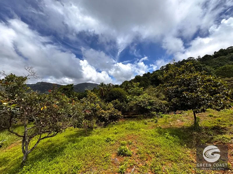 Breathtaking Ocean View Farm Near Playa Linda - Year-Round Sunsets — view 14, Costa Rica, Costa Rica