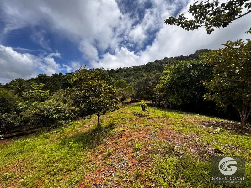 Breathtaking Ocean View Farm Near Playa Linda - Year-Round Sunsets — view 15, Costa Rica, Costa Rica