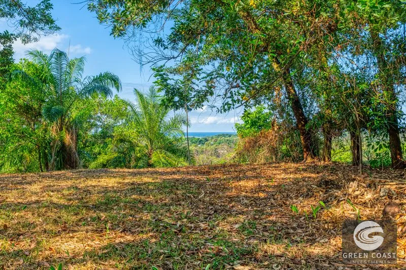 Uvita Ocean View Farm: Prime Development Land Near Marino Ballena National Park — view 1, Uvita, Osa, Costa Rica
