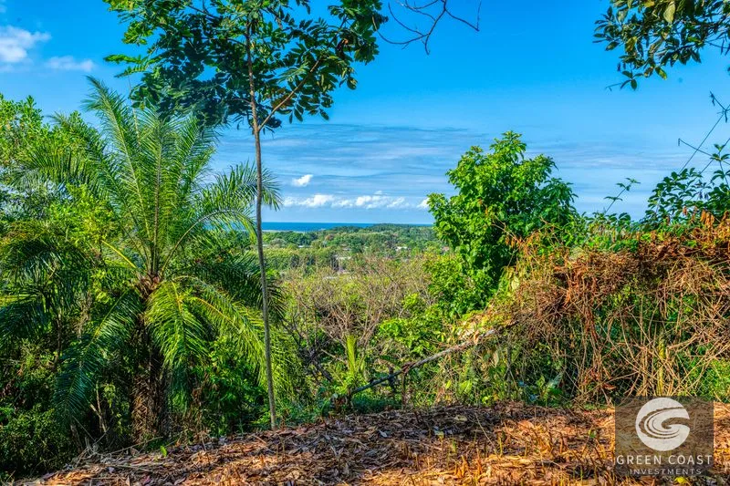 Uvita Ocean View Farm: Prime Development Land Near Marino Ballena National Park — view 3, Uvita, Osa, Costa Rica