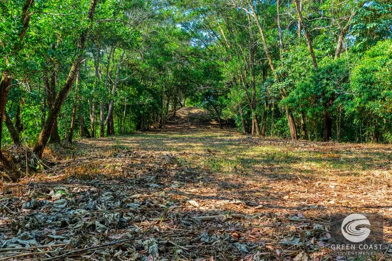 Uvita Ocean View Farm: Prime Development Land Near Marino Ballena National Park — view 4, Uvita, Osa, Costa Rica
