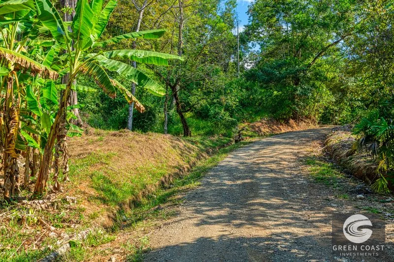 Uvita Ocean View Farm: Prime Development Land Near Marino Ballena National Park — view 5, Uvita, Osa, Costa Rica