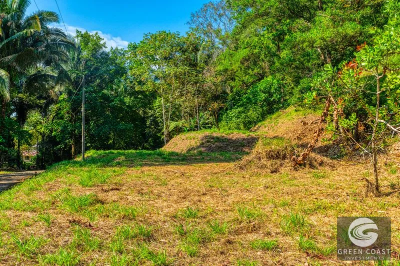 Uvita Ocean View Farm: Prime Development Land Near Marino Ballena National Park — view 6, Uvita, Osa, Costa Rica