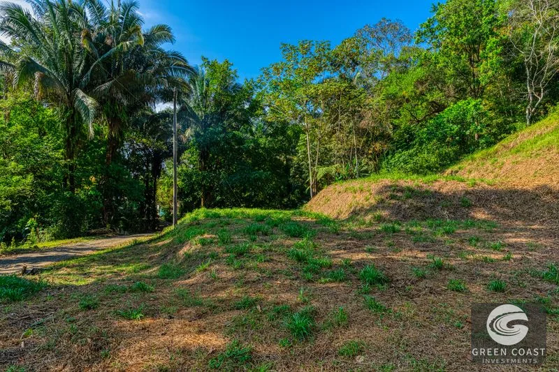 Uvita Ocean View Farm: Prime Development Land Near Marino Ballena National Park — view 7, Uvita, Osa, Costa Rica