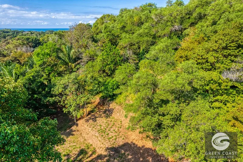 Uvita Ocean View Farm: Prime Development Land Near Marino Ballena National Park — view 9, Uvita, Osa, Costa Rica