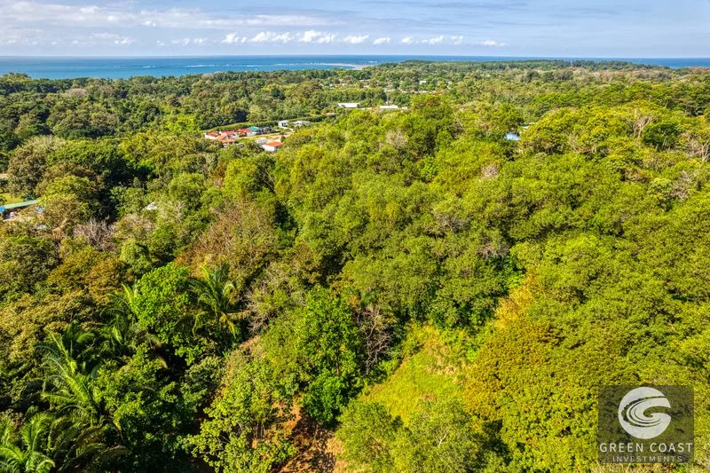 Uvita Ocean View Farm: Prime Development Land Near Marino Ballena National Park — view 10, Uvita, Osa, Costa Rica