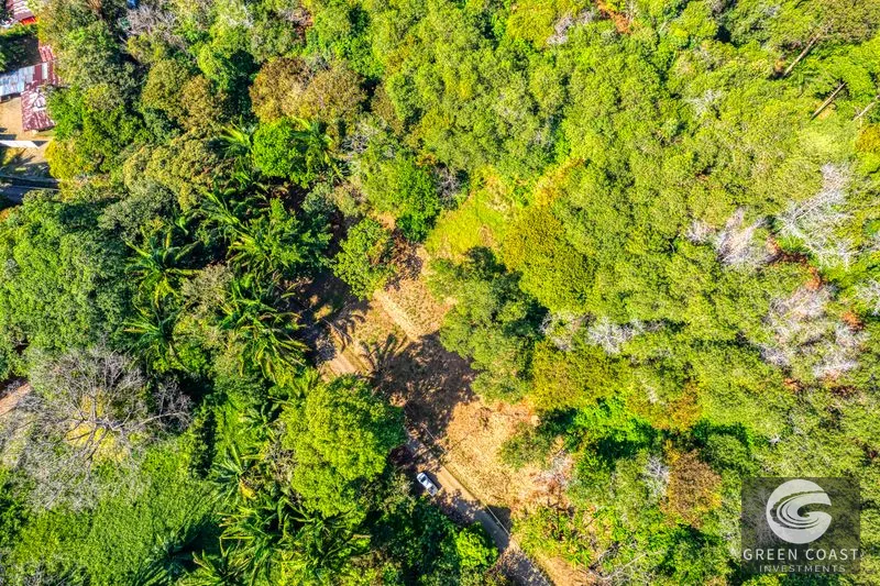 Uvita Ocean View Farm: Prime Development Land Near Marino Ballena National Park — view 12, Uvita, Osa, Costa Rica
