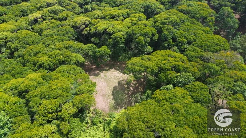Lagunas Jungle Sanctuary: Ocean Glimpses, Private & Minutes to Dominical Surf — view 1, Savegre, Aguirre, Costa Rica