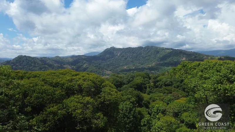 Lagunas Jungle Sanctuary: Ocean Glimpses, Private & Minutes to Dominical Surf — view 2, Savegre, Aguirre, Costa Rica