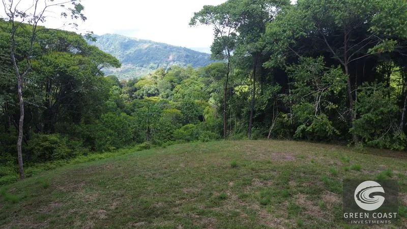 Lagunas Jungle Sanctuary: Ocean Glimpses, Private & Minutes to Dominical Surf — view 3, Savegre, Aguirre, Costa Rica