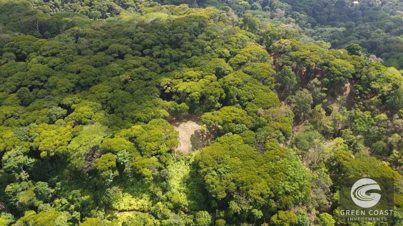 Lagunas Jungle Sanctuary: Ocean Glimpses, Private & Minutes to Dominical Surf — view 4, Savegre, Aguirre, Costa Rica
