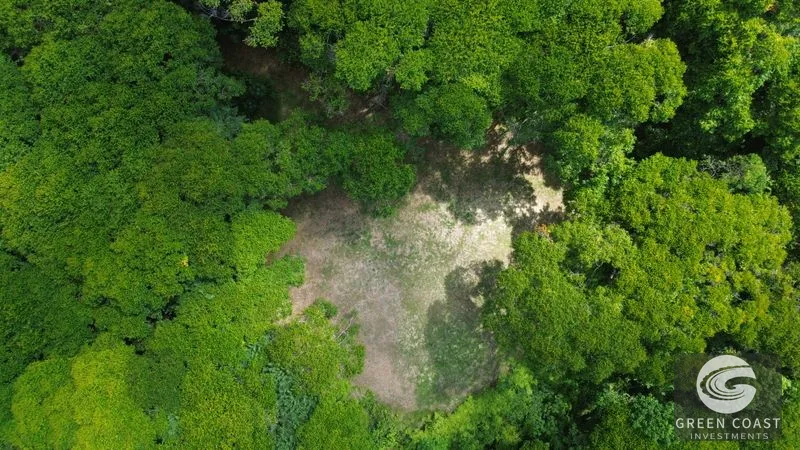 Lagunas Jungle Sanctuary: Ocean Glimpses, Private & Minutes to Dominical Surf — view 5, Savegre, Aguirre, Costa Rica
