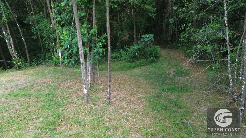 Lagunas Jungle Sanctuary: Ocean Glimpses, Private & Minutes to Dominical Surf — view 8, Savegre, Aguirre, Costa Rica
