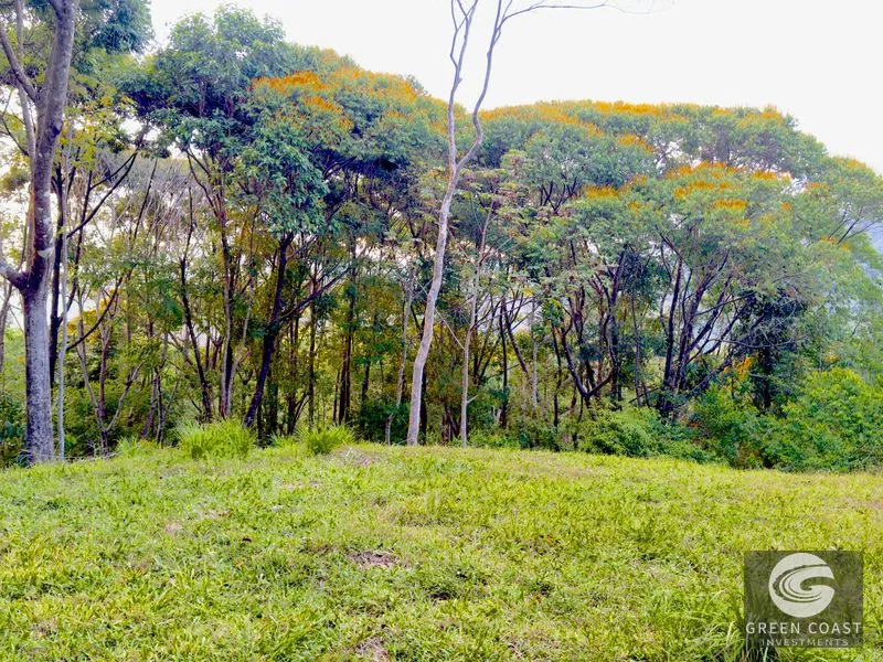 Lagunas Jungle Sanctuary: Ocean Glimpses, Private & Minutes to Dominical Surf — view 9, Savegre, Aguirre, Costa Rica