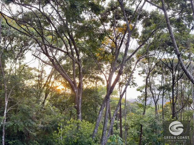 Lagunas Jungle Sanctuary: Ocean Glimpses, Private & Minutes to Dominical Surf — view 11, Savegre, Aguirre, Costa Rica