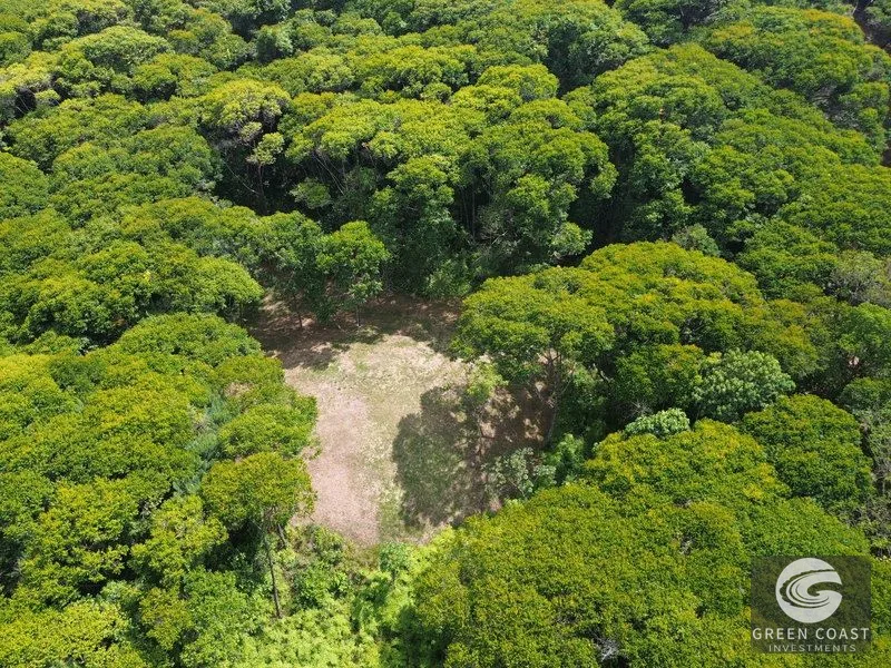 Lagunas Jungle Sanctuary: Ocean Glimpses, Private & Minutes to Dominical Surf — view 12, Savegre, Aguirre, Costa Rica