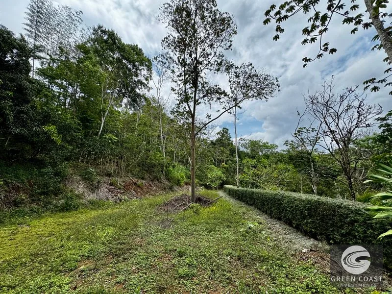 Tropical Fruit Orchard Oasis Near Dominical & San Isidro — view 4, Platanillo, Perez Zeledon, Costa Rica