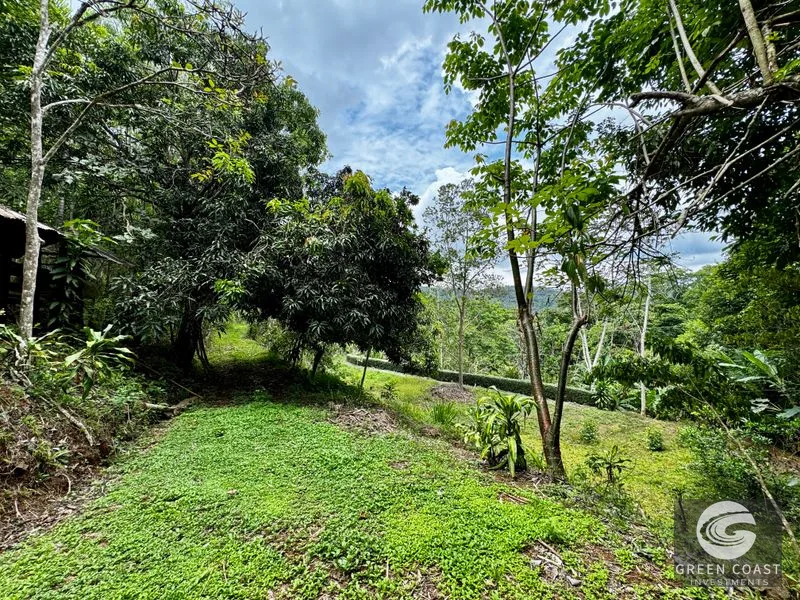 Tropical Fruit Orchard Oasis Near Dominical & San Isidro — view 5, Platanillo, Perez Zeledon, Costa Rica