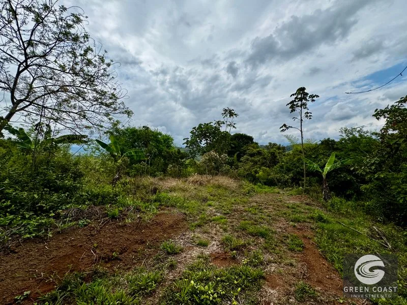 Tropical Fruit Orchard Oasis Near Dominical & San Isidro — view 7, Platanillo, Perez Zeledon, Costa Rica