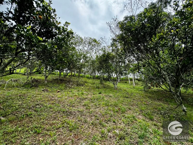 Tropical Fruit Orchard Oasis Near Dominical & San Isidro — view 9, Platanillo, Perez Zeledon, Costa Rica