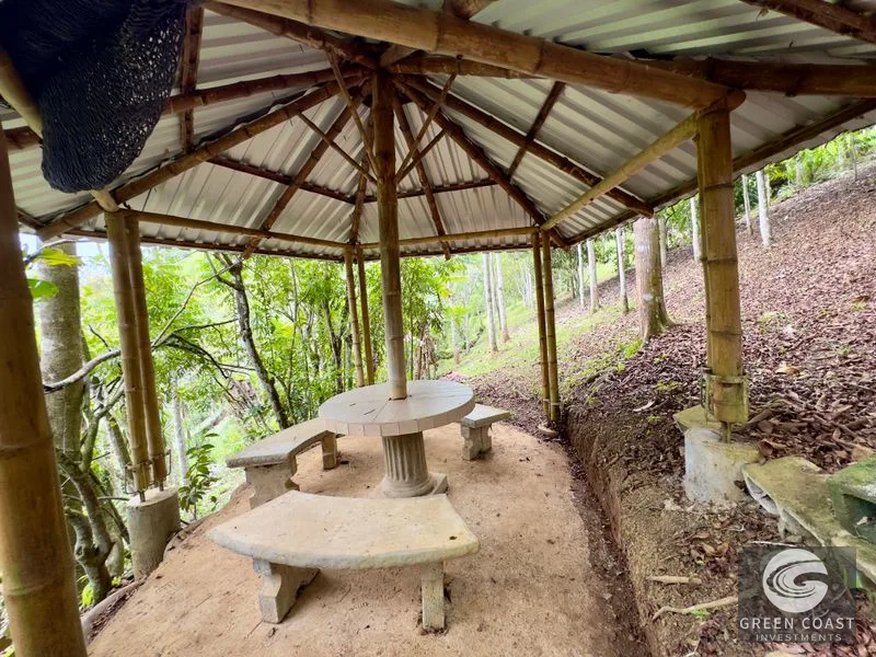 Tropical Fruit Orchard Oasis Near Dominical & San Isidro — view 13, Platanillo, Perez Zeledon, Costa Rica