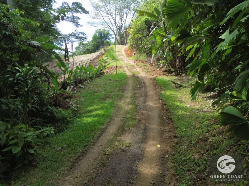 Private Jungle Sanctuary Near Uvita: Build Your Dream Retreat with Nature Views — view 2, Uvita, Osa, Costa Rica