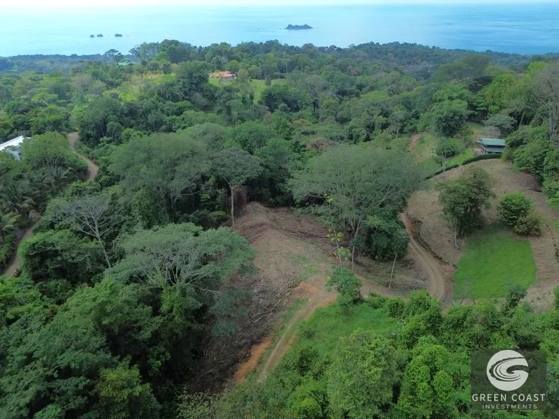 Private Jungle Sanctuary Near Uvita: Build Your Dream Retreat with Nature Views — view 3, Uvita, Osa, Costa Rica