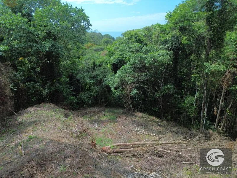 Private Jungle Sanctuary Near Uvita: Build Your Dream Retreat with Nature Views — view 8, Uvita, Osa, Costa Rica