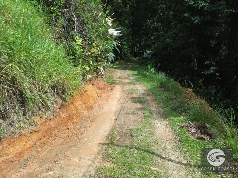 Private Jungle Sanctuary Near Uvita: Build Your Dream Retreat with Nature Views — view 10, Uvita, Osa, Costa Rica