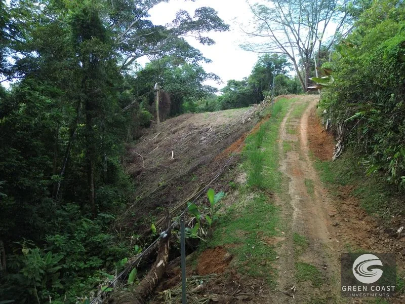 Private Jungle Sanctuary Near Uvita: Build Your Dream Retreat with Nature Views — view 12, Uvita, Osa, Costa Rica