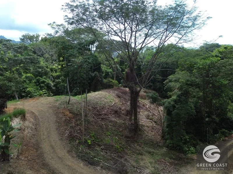 Private Jungle Sanctuary Near Uvita: Build Your Dream Retreat with Nature Views — view 15, Uvita, Osa, Costa Rica