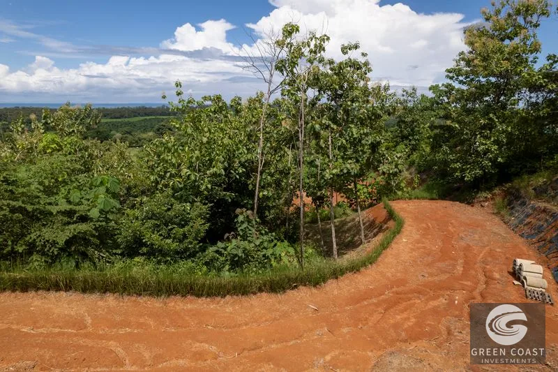 Matapalo Ocean & Jungle View Lots: Build Your Costa Rica Dream Home in a Gated Community — view 11, Matapalo, Quepos, Costa Rica