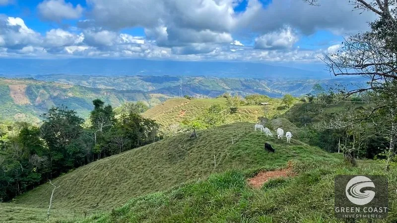 Costa Rican Mountain View Farm: Pastures, River & 5 Potential Building Sites near Uvita — view 1, Perez Zeledon, Costa Rica