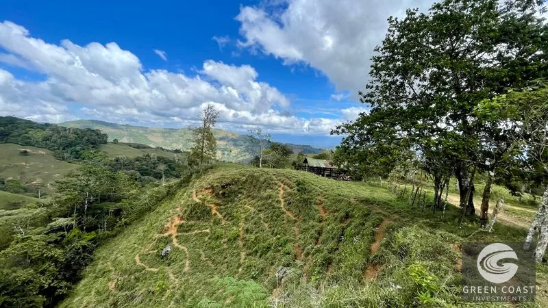 Costa Rican Mountain View Farm: Pastures, River & 5 Potential Building Sites near Uvita — view 7, Perez Zeledon, Costa Rica