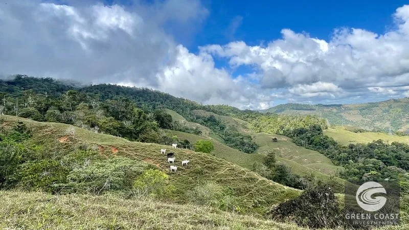Costa Rican Mountain View Farm: Pastures, River & 5 Potential Building Sites near Uvita — view 10, Perez Zeledon, Costa Rica