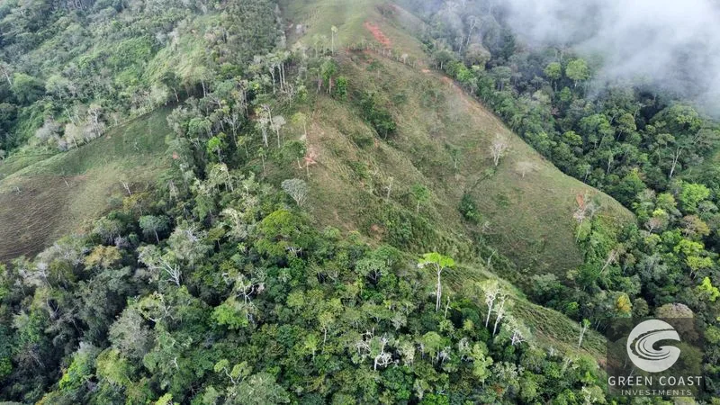 Costa Rican Mountain View Farm: Pastures, River & 5 Potential Building Sites near Uvita — view 11, Perez Zeledon, Costa Rica