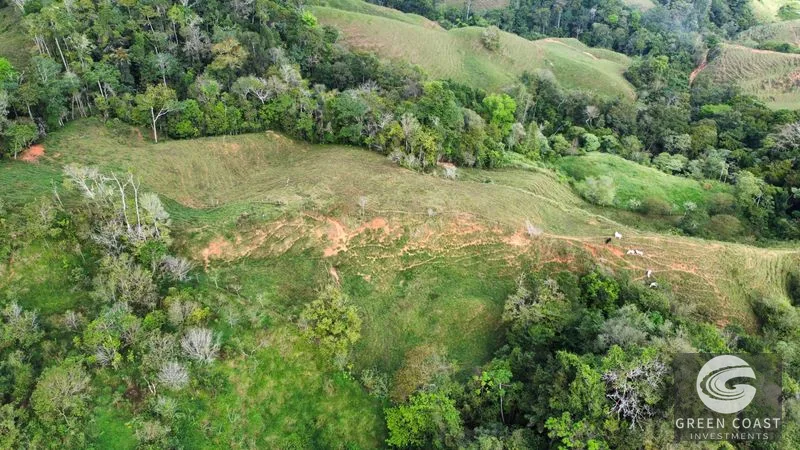 Costa Rican Mountain View Farm: Pastures, River & 5 Potential Building Sites near Uvita — view 12, Perez Zeledon, Costa Rica